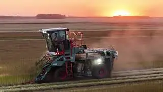 Arrachage Lin 2025 #3 Nouvelle Depoortere 4WD et Union GX220 