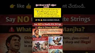 #Sankranti2026 #banchinesemanja #manja #telugufacts #sankranti #roadsafety #telugu #intrestingfacts