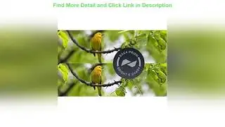 Best Seller Bushnell H2O Waterproof/Fogproof Roof Prism Binocular