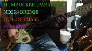 Seymour Duncan P-Rails Pickups: ALL THE SOUNDS!