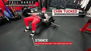Hip Thrust - Medium Stance - Barbell
