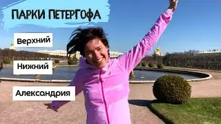 Петергоф и его парки | Парк Александрия | Где побегать и погулять?