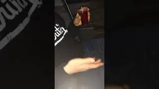 Дегустируем goodberry