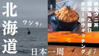 日本一周【ハイエース車中泊】大自然の景色！絶景！知床岬クルーズも！