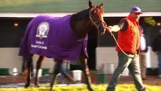 Kentucky Derby 142: Ep. 4 - Nyquist's journey