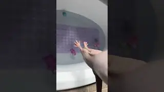 Spreaderssss!! 🩷 Bath time for Kiri #cat #sphynx #asmr #hairlesscat