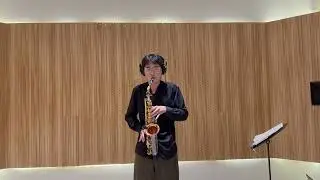 Voyage Vincent herring Wang Qisen