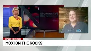 Ann Nyberg (WTNH News 8) - Moxi on the Rocks Interview