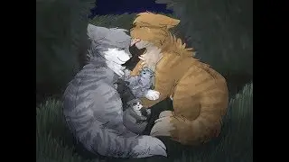Warrior Cats Die traurigsten Beziehungen