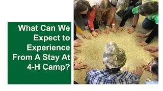 What Can We Expect to Experience from a Stay at 4-H Camp?
