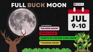 Full Buck Moon will appear full Wednesday night and Thursday night | July 2025