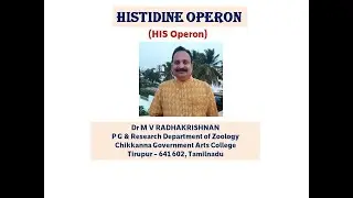Гистидиновый оперон / HIS-оперон