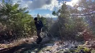 Black Mountains- Colbert Ridge trail to Deep Gap and Winter Star