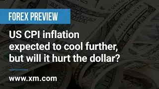 Forex Preview: 10/07/2023 - US CPI inflation expected to cool further, but will it hurt the dollar?