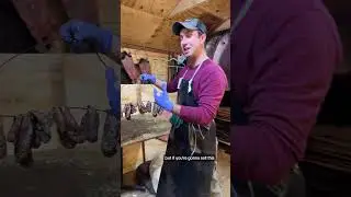 Бобровая мука может быть ценной, если ее правильно приготовить.