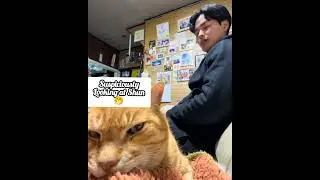 Избегайте негативных эмоций🥺🤧