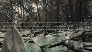 UN METRO DE BOSQUE - CÁMARA-TRAMPA