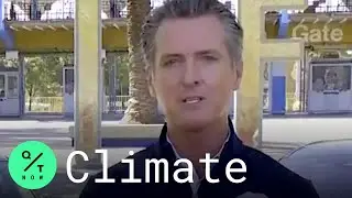 California to Ban New Gas Engine Car Sales in 2035: Newsom