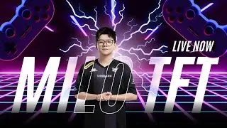 TOP 8 OFF | VP Milo