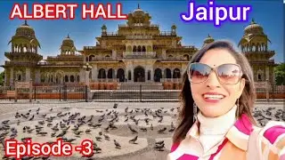 Exploring Albert Hall Museum Jaipur | Sai Star School | Trip Memories | Egyptian Mummy | Pink City