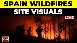 Spain wildfire LIVE | Raging wildfires in Spain LIVE | 1 dead in Spain wildfires LIVE | India Today
