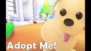 I UNBOXED 50 GIFTS IN ADOPT ME (I GOT A HOVER CAR)