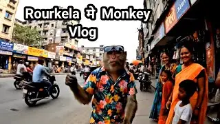 Monkey Vlogging Rourkela || Explore Osrtc Volvo Bus  || monkey vlog || monkey vlog video
