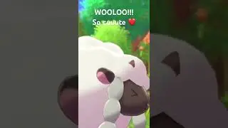 Cutie wooloo! Bet Koko would like this! #wooloo #pokemon #sword #cute #canonevent