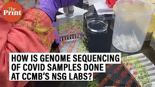 How is genome sequencing of Covid samples done at CCMB&rsquo;s NGS labs?