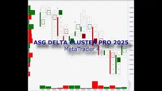 ASG DELTA CLUSTER PRO 2025