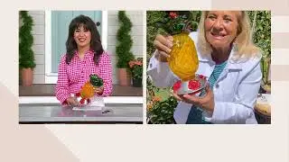 Ultimate Innovations Hummingbird Feeder w/ Moat and Bee Guards on QVC