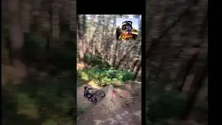 Jump on a Tree #emtb #epicfail #bike #enduro #emtb #crash  #ebike #gopro #fail #bigjump #downhill