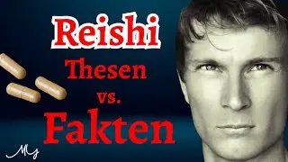 Reishi im Faktenabgleich: Wo endet die Evidenz?