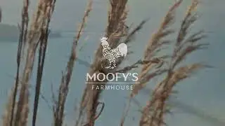 Moofy's Farmhouse | Family. Friends. Corporate Retreats
