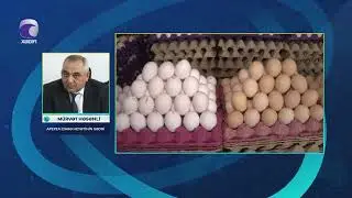 Kənd yumurtası BAHALAŞIB