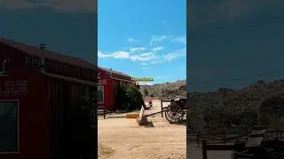Pioneertown, Ca 🌵#joshuatree #california