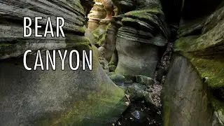 Bear Canyon