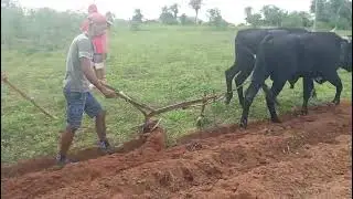 Bora ver os cortes de terra de arado