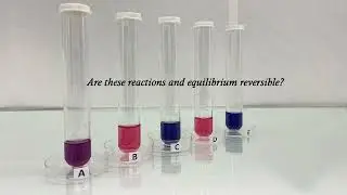 Critical Thinking Development - The equilibrium between two coloured cobalt species