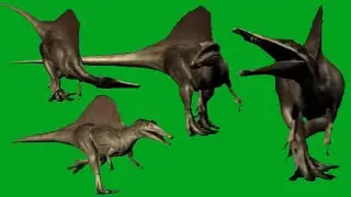 Spinosaur Jurassic  Dinosaur With Sound Green Screen Blue Screen Black Screen HD Video