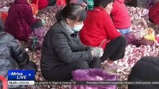 China&rsquo;s garlic giant seasoning the world