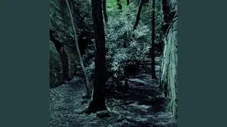 Twisted Oak