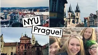 A Day in the Life of an NYU Student: Study Abroad Edition!