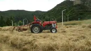 MF 165 and PZ Haybob rowing hay