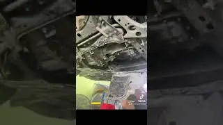 orsen shield for prius