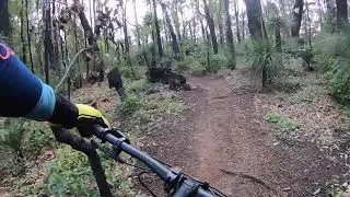 Langford Park - The Fox Trail