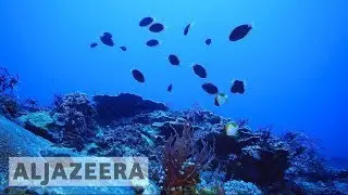 🇵🇭 Protests in Philippines over Chinese exploration of Benham Rise