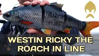 Приманка для Трофейної Щуки. Westin Ricky the Roach in Line.