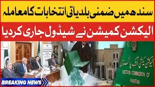 Election Commission Has Released The Schedule | By Elections In Sindh | Breaking News