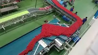 Sting energy drink 🍷 Pepsi plant New video #2025 